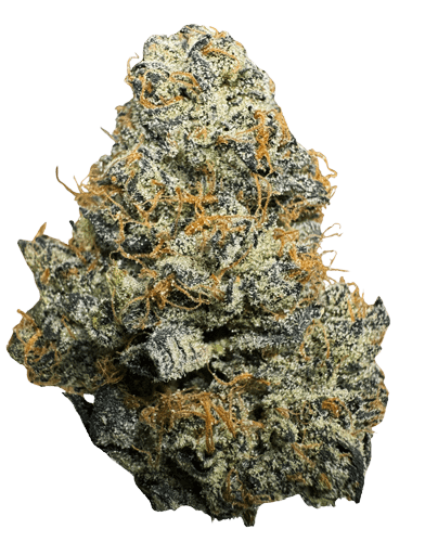 Northern California Cannabis Strain Ice Cream Cake