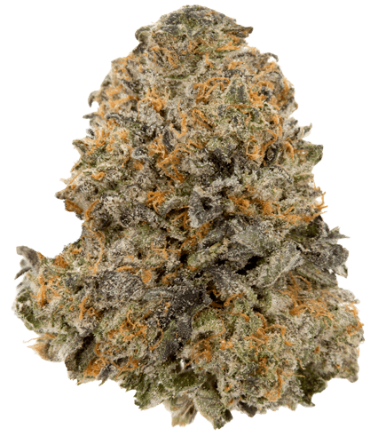 Northern California Cannabis Strain G-Runtz