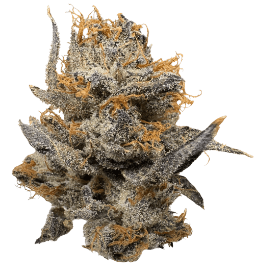 Northern California Cannabis Strain Blue Nerds